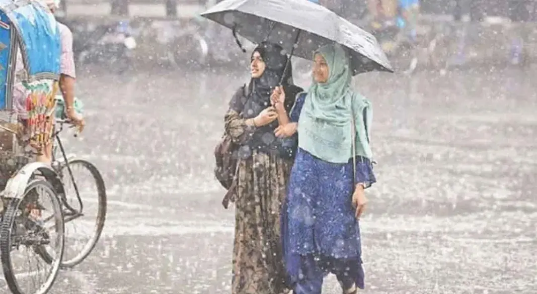ফাইল ছবি।