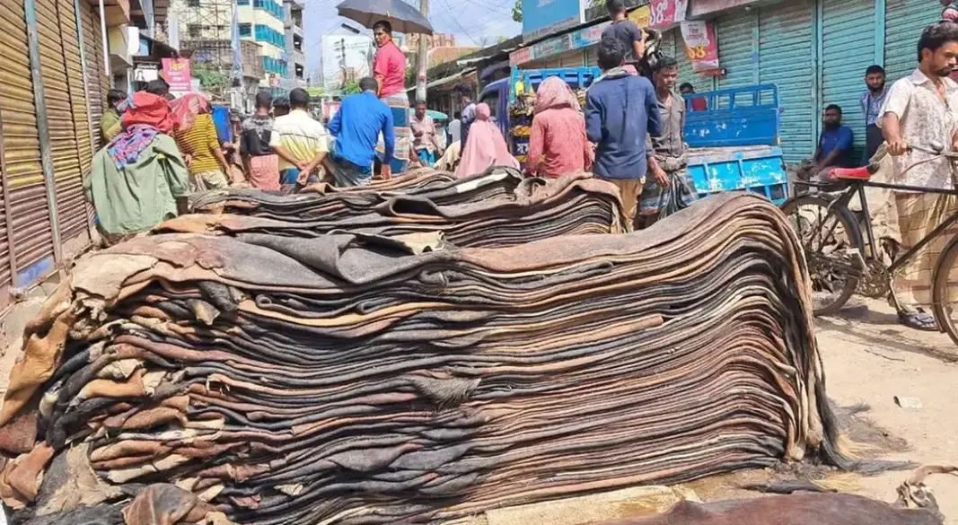 ছবি : সংগৃহীত