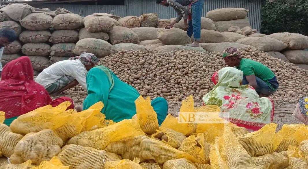 ছবি : সংগৃহীত