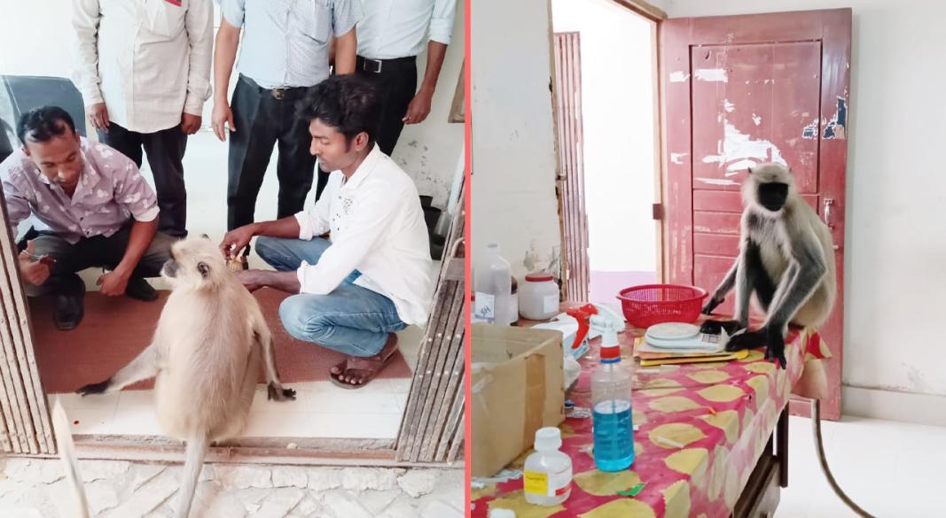 ছবি : সংগৃহীত