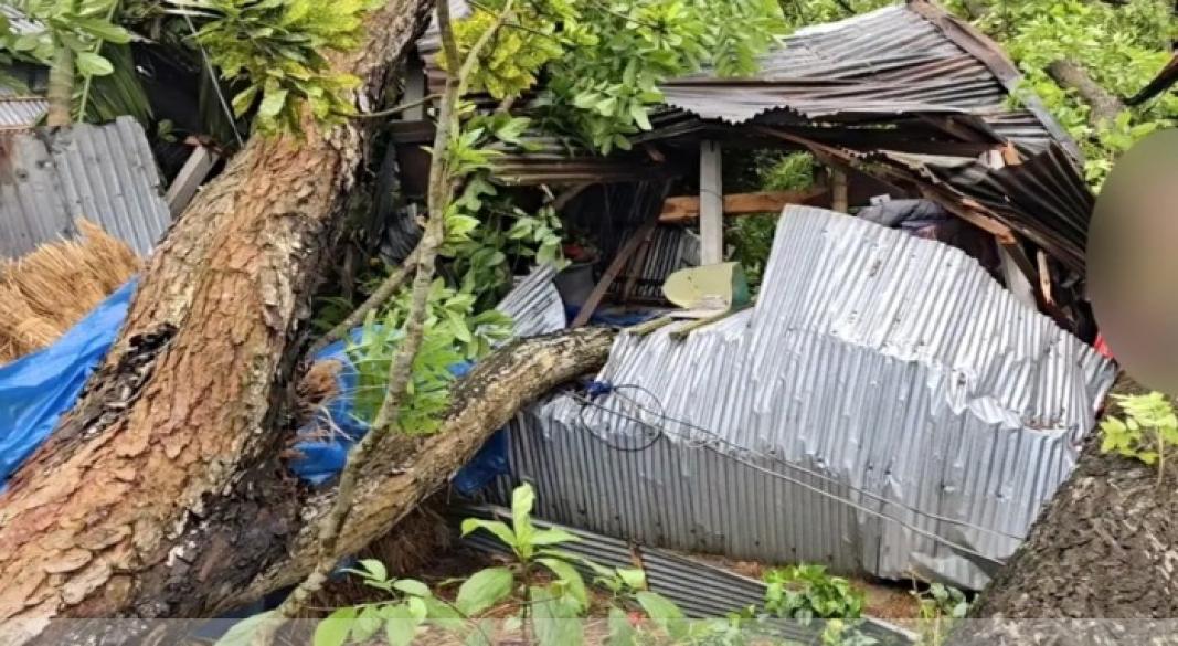'কাল বৈশাখীর তান্ডব'