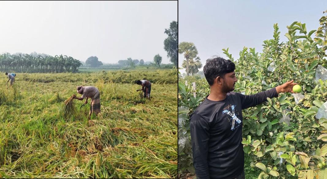 ছবি : সংগৃহীত