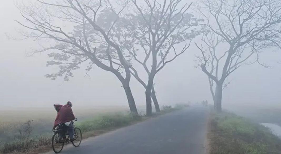 ছবি : সংগৃহীত