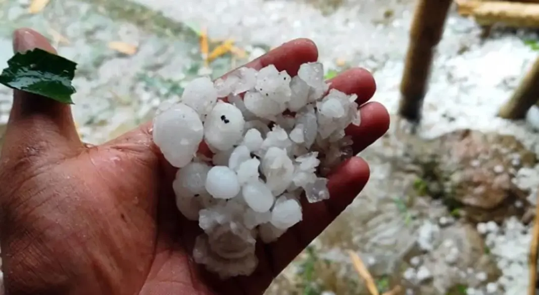 ছবি : সংগৃহীত