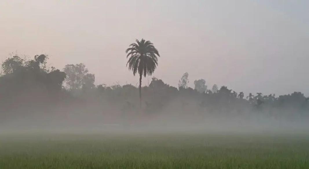 ছবি : সংগৃহীত