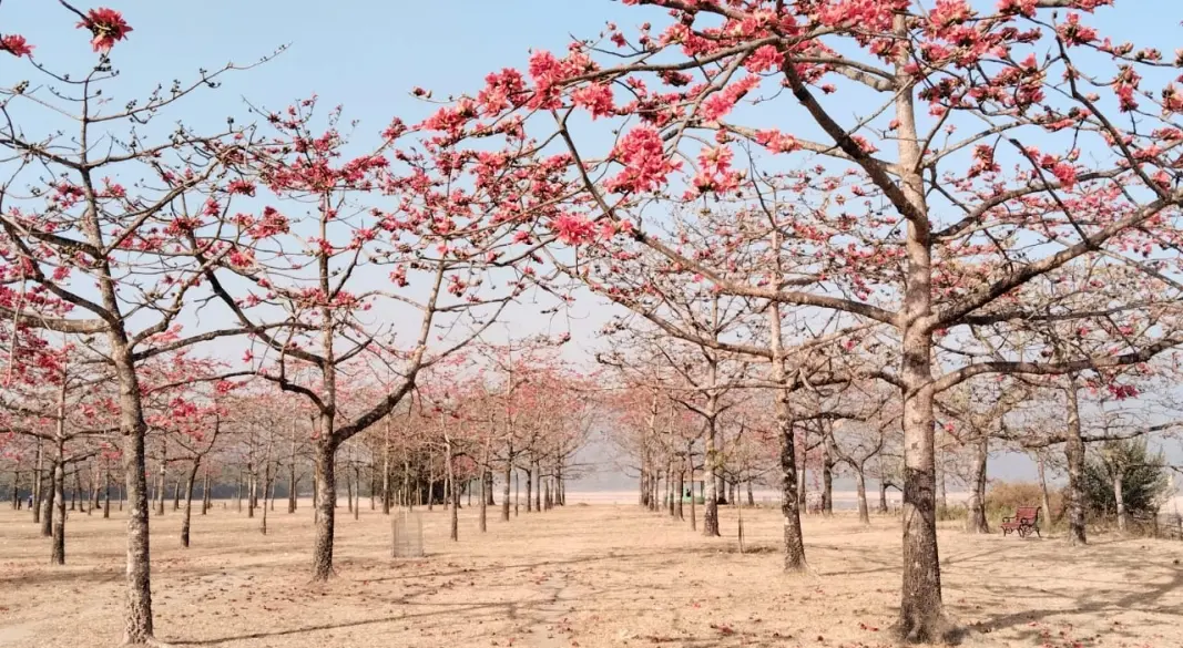 ছবি : সংগৃহীত