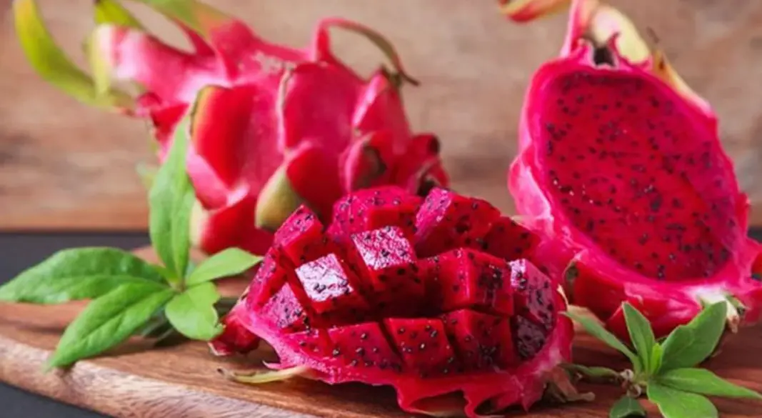 ড্রাগন ফল | ছবি: সংগৃহীত