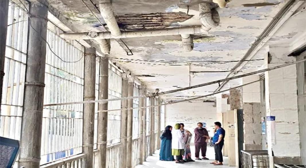 ছবি : সংগৃহীত