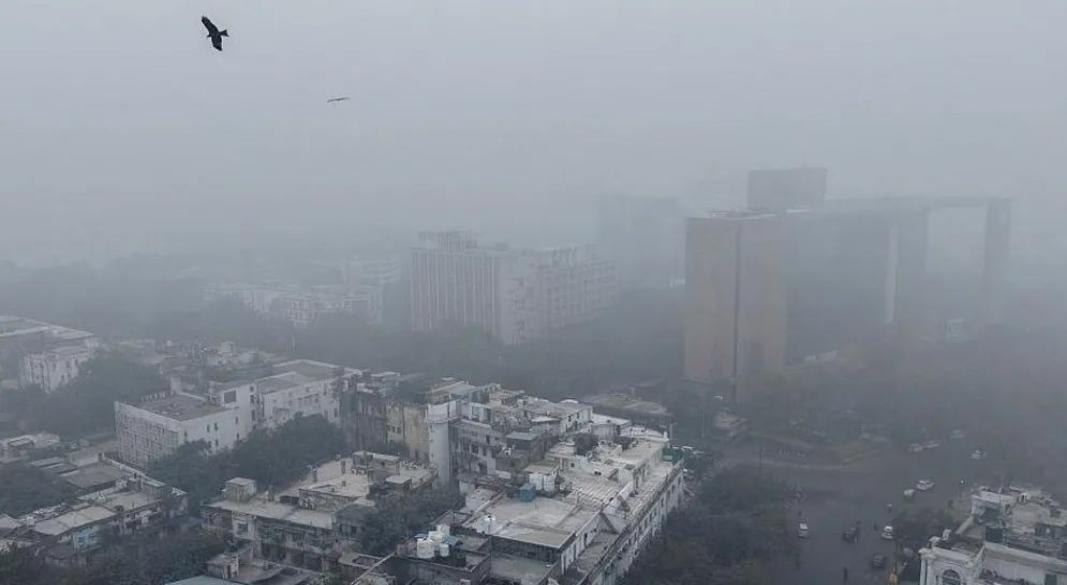 ছবি : সংগৃহীত