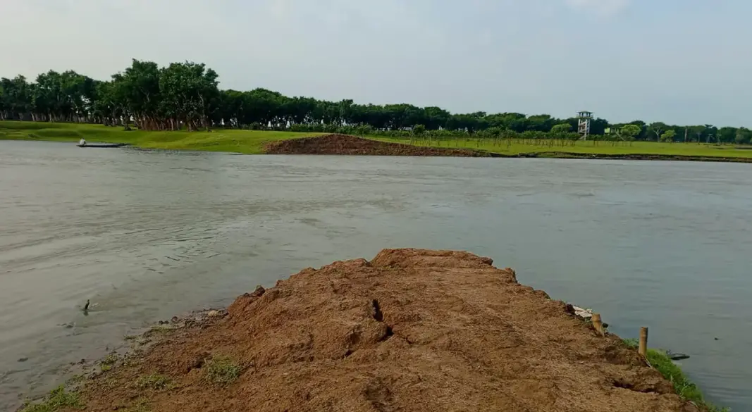 ছবি : সংগৃহীত