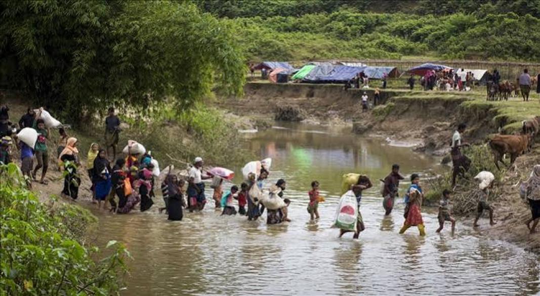 ছবি: সংগৃহীত