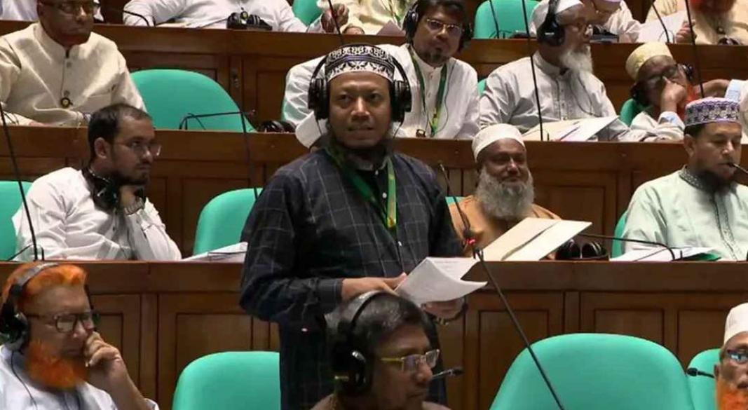 সংসদ সদস্য আমির হামজা। ছবি: সংগৃহীত