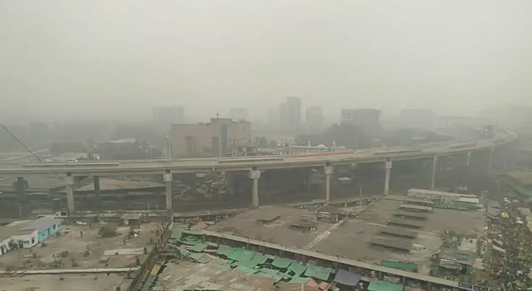 ছবি : সংগৃহীত