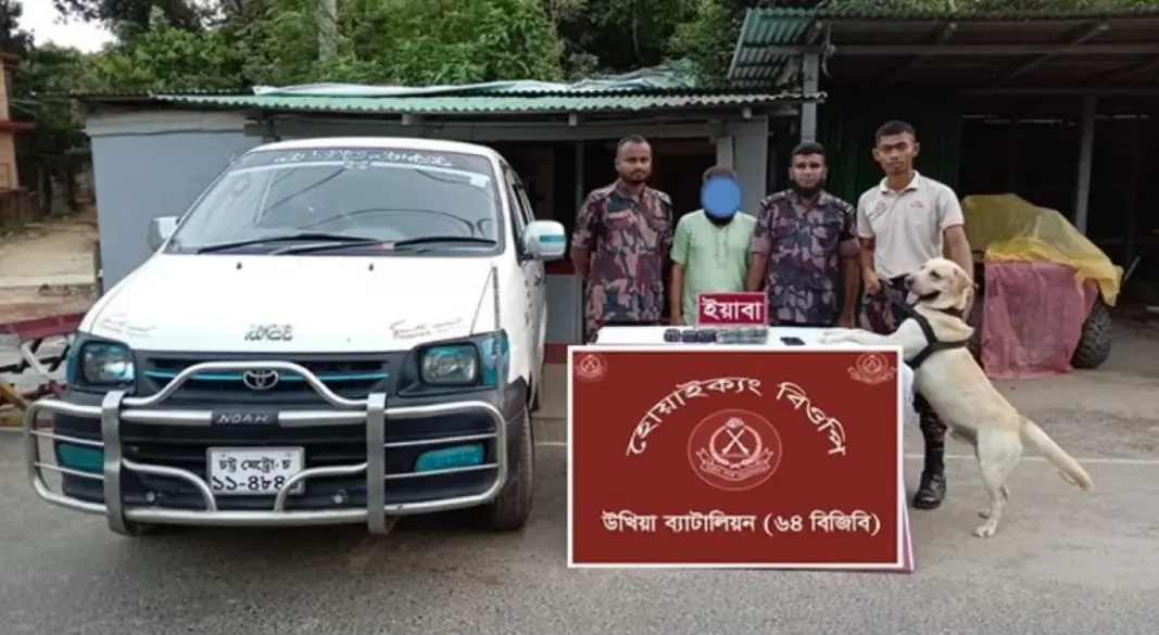 ছবি: সংগৃহীত