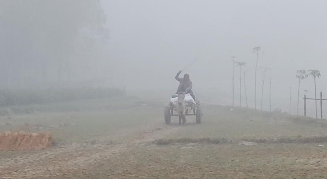 ছবি : সংগৃহীত