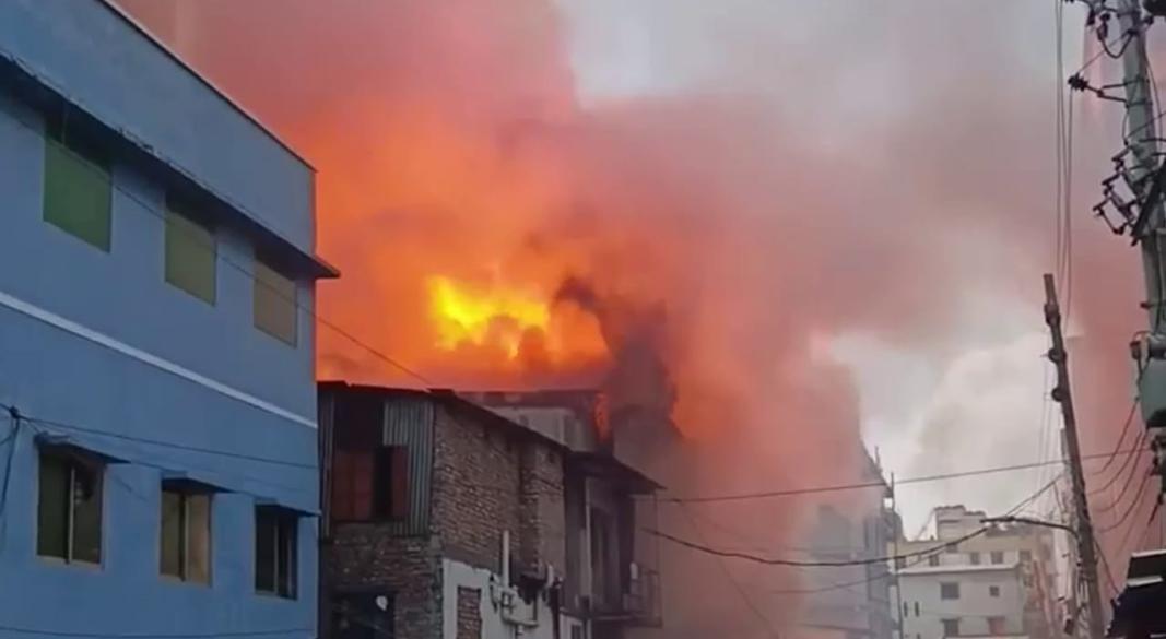 ছবি: সংগৃহীত