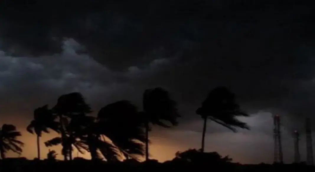 ছবি : সংগৃহীত