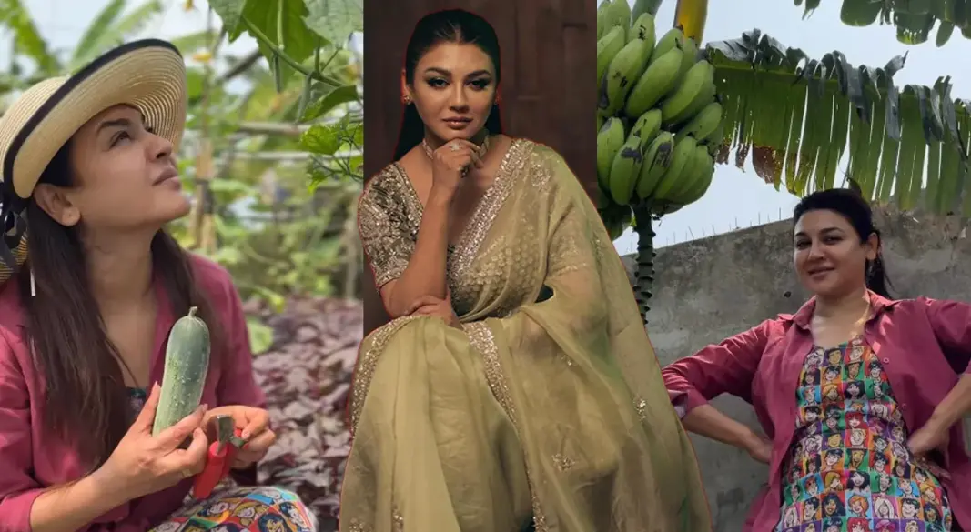 জয়া আহসান। ছবি : সংগৃহীত