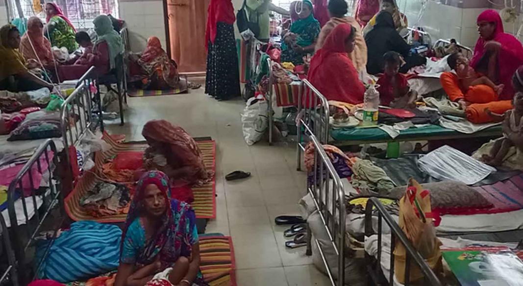 ছবি : সংগৃহীত