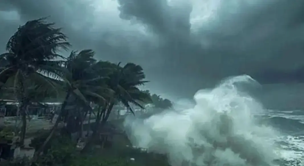 ছবি : সংগৃহীত