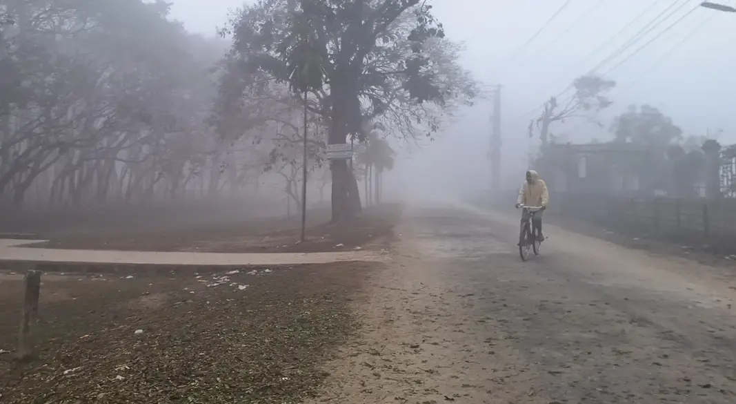 ছবি : সংগৃহীত