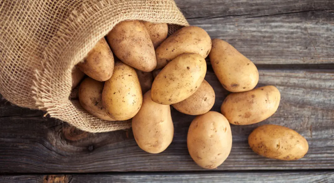 একদিনে কতটা আলু খেতে পারবেন, জেনে নিন | ছবি : সংগৃহীত