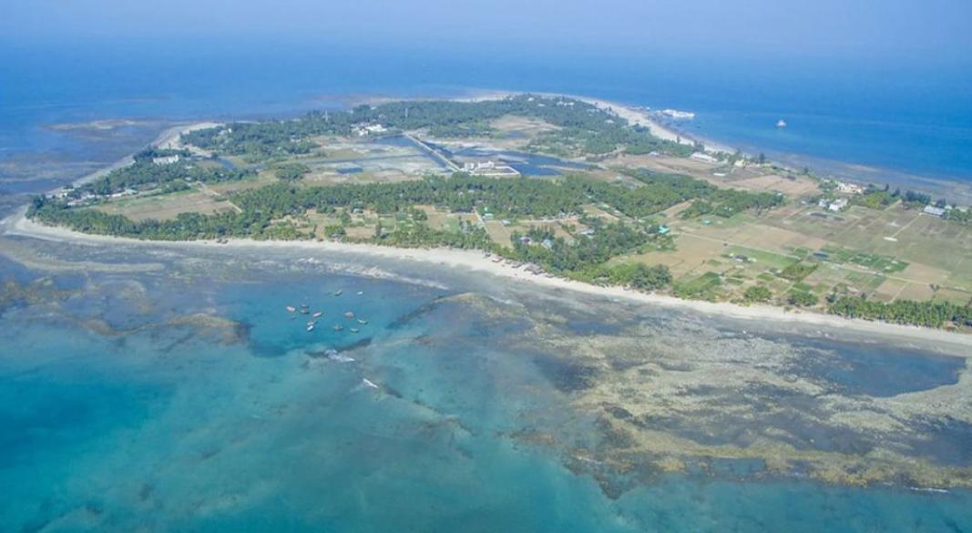 ফাইল ছবি