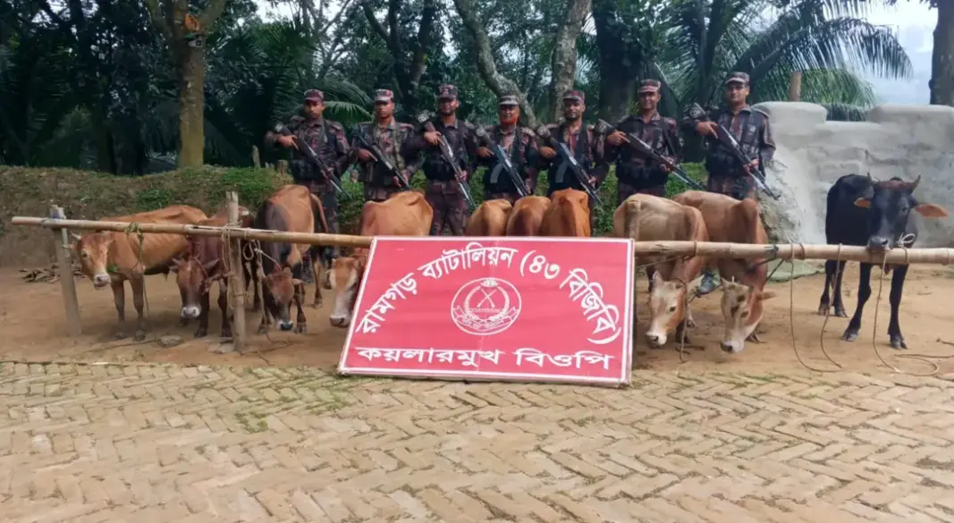 ছবি: সংগৃহীত