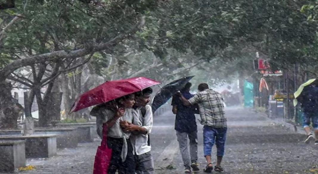 ছবি : সংগৃহীত