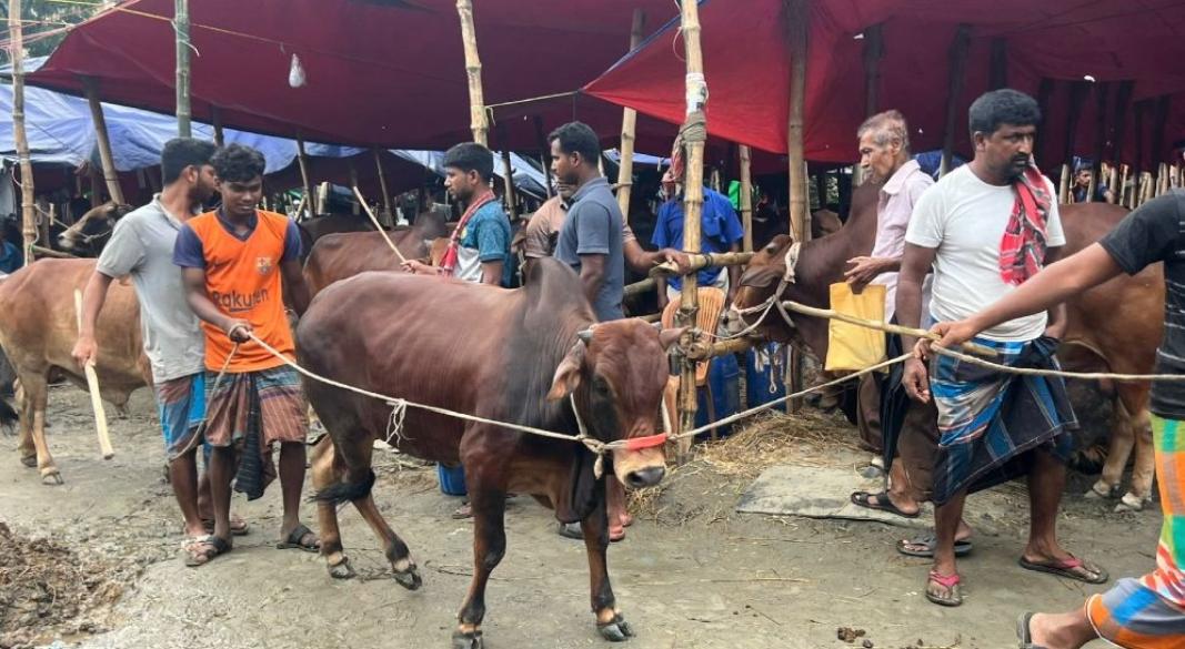 ছবি: সংগৃহীত