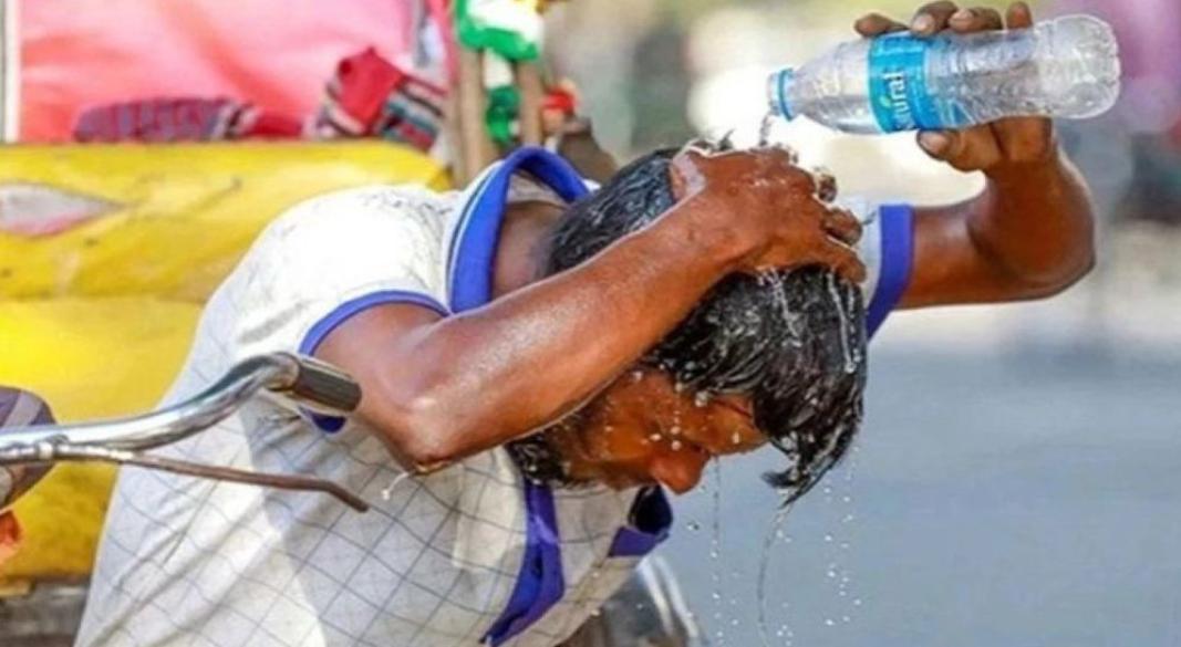 ছবি : সংগৃহীত