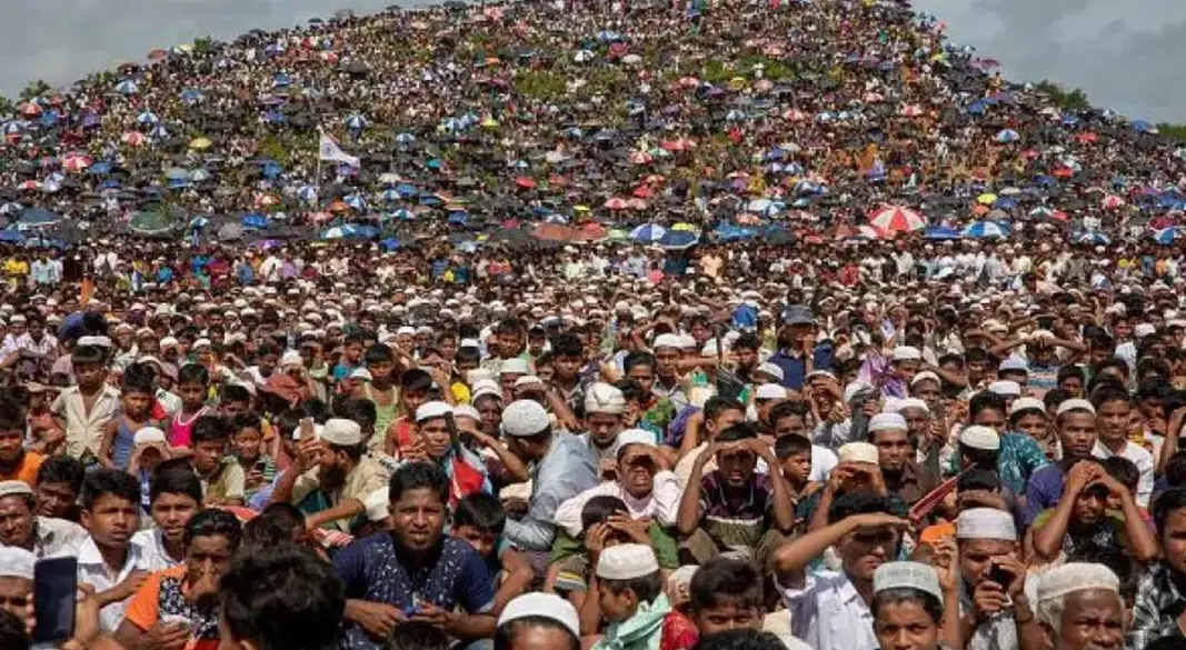 ছবি : সংগৃহীত