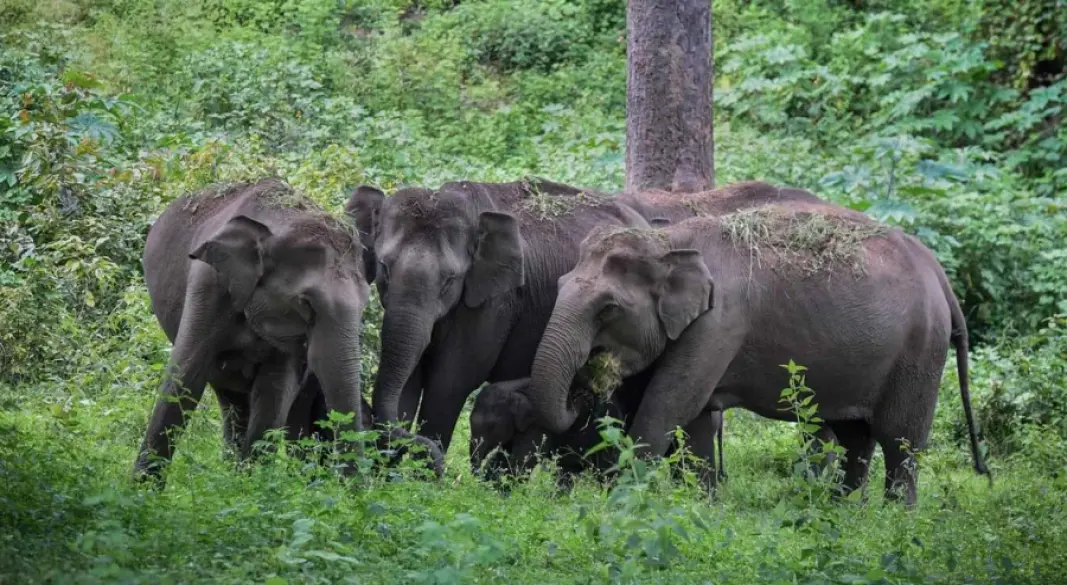 ছবি : সংগৃহীত