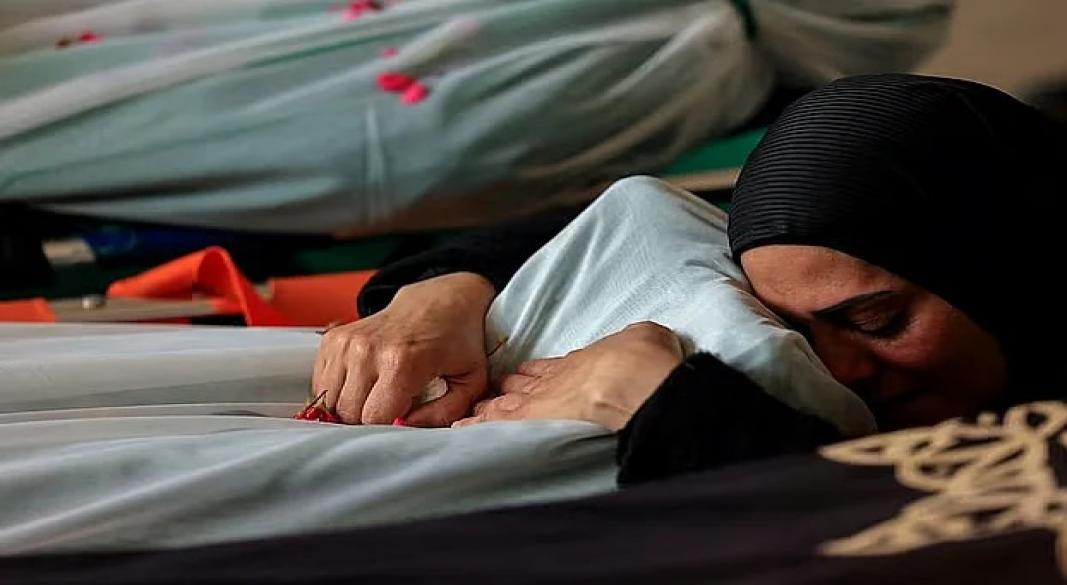 ছবি : সংগৃহীত