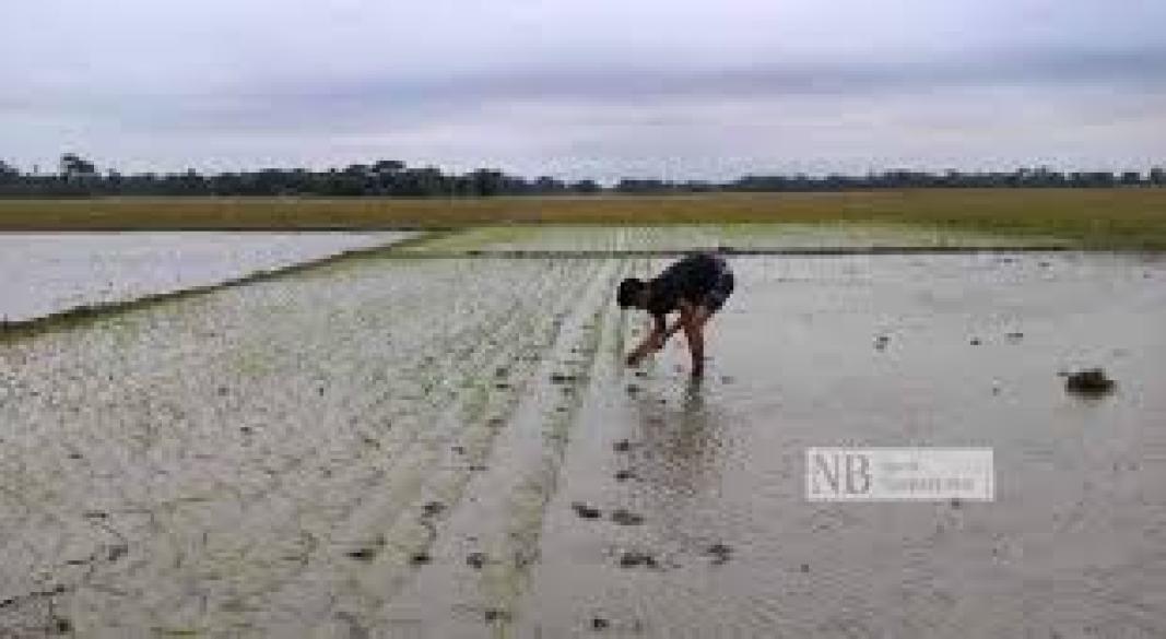 ছবি : সংগৃহীত
