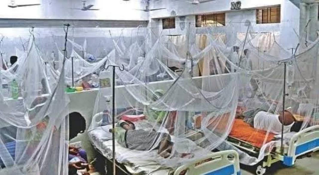 ছবি : সংগৃহীত