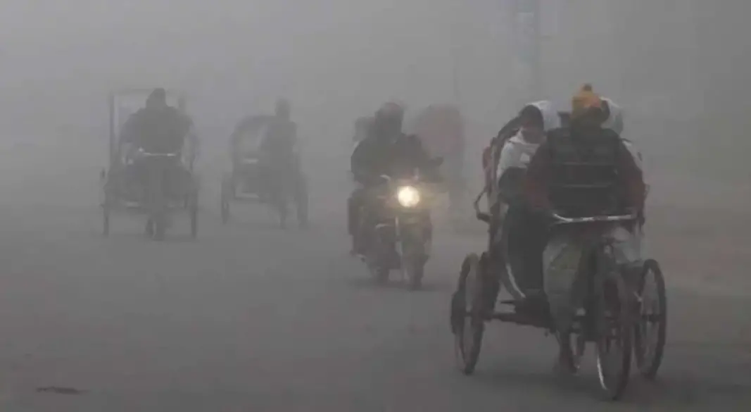 ছবি : সংগৃহীত