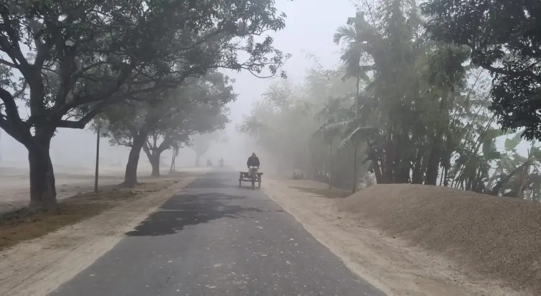 ছবি : সংগৃহীত