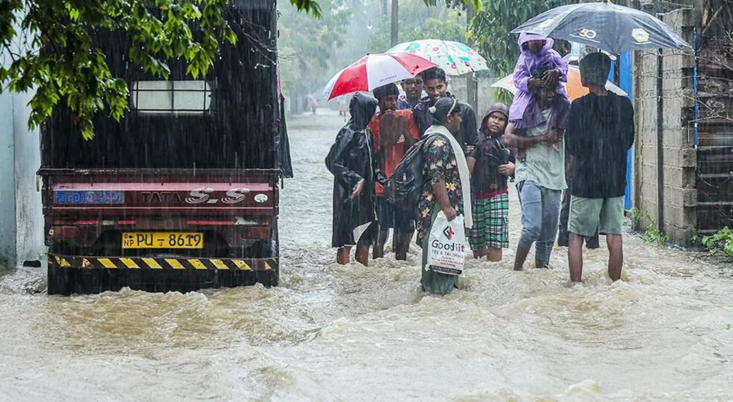 ছবি : সংগৃহীত