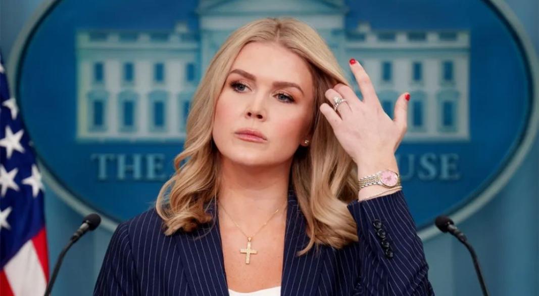 ক্যারোলিন লেভিট। ছবি: সংগৃহীত