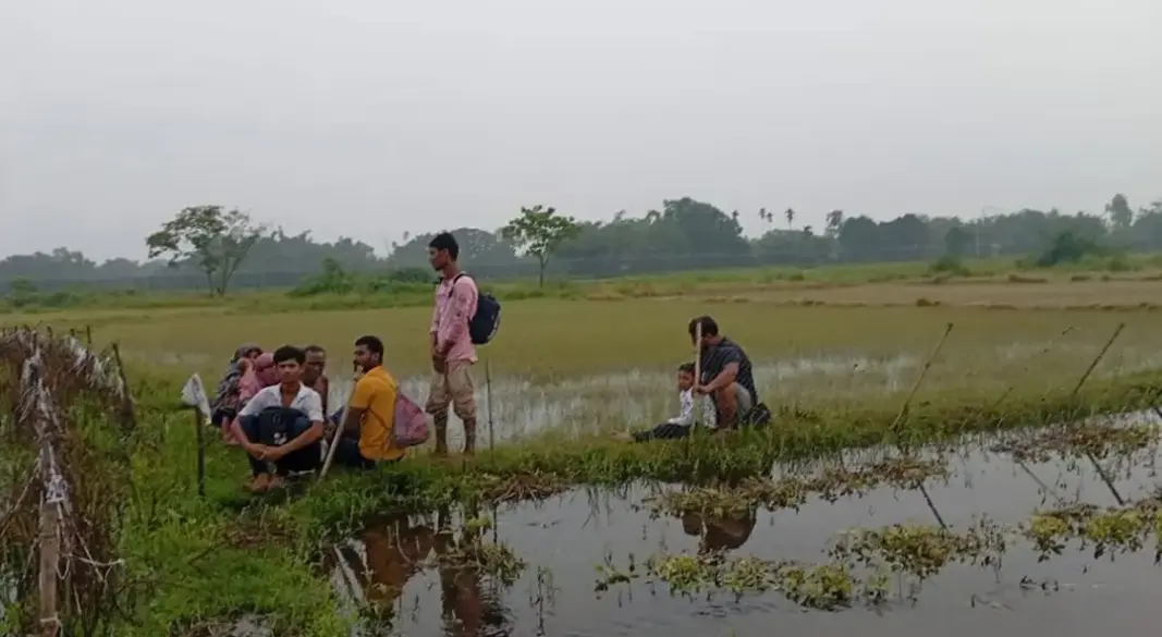 ছবি: সংগৃহীত