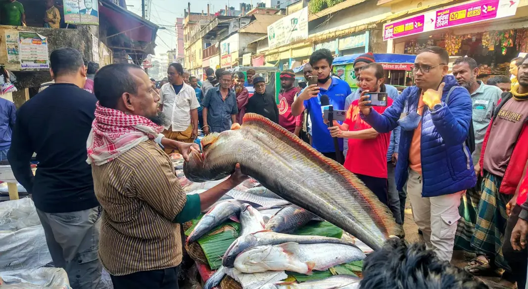পৌষ সংক্রান্তি উৎসব উপলক্ষে মৌলভীবাজারে বসেছে ঐতিহ্যবাহী মাছের মেলা।