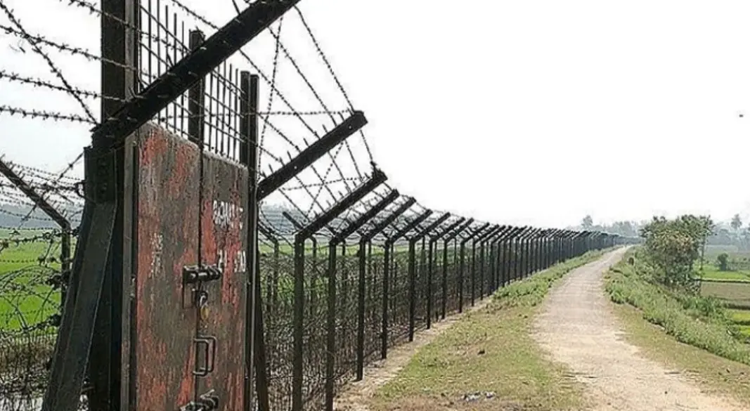 সংগৃহীত ছবি