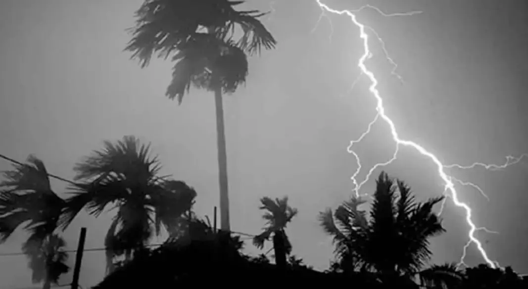 ছবি : সংগৃহীত