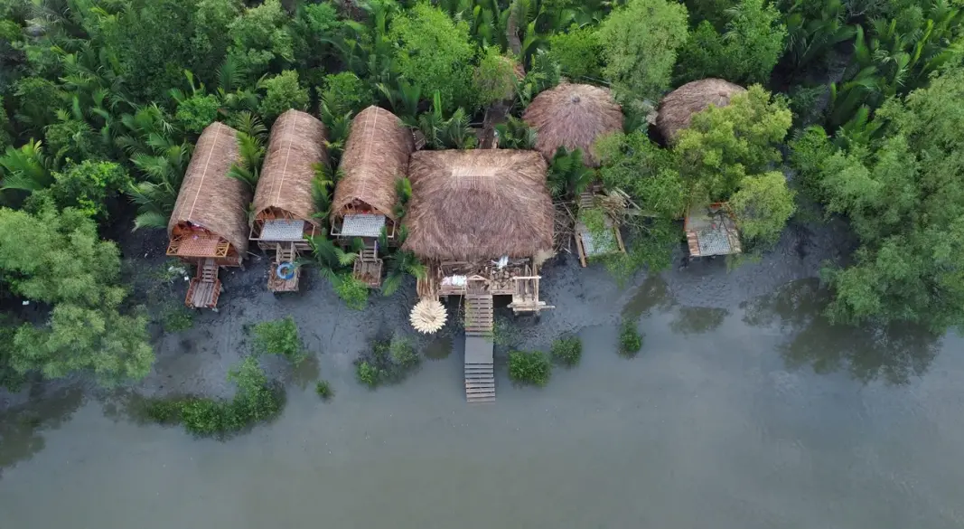 সুন্দরবন। ছবি : সংগৃহীত