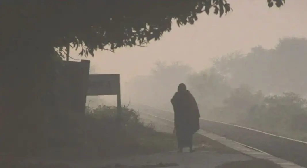 ছবি : সংগৃহীত