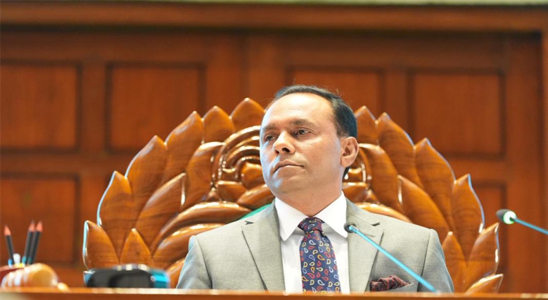 জাতীয় সংসদের ডেপুটি স্পিকার ব্যারিস্টার কায়সার কামাল। ফাইল ছবি