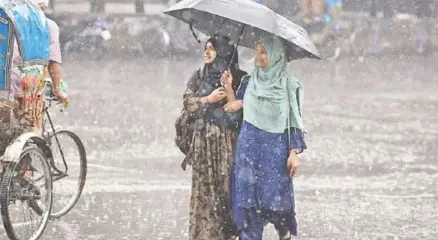 ফাইল ছবি।