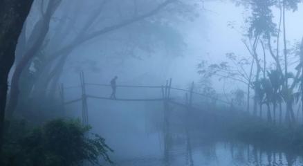 ছবি : সংগৃহীত