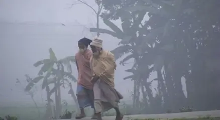 ছবি : সংগৃহীত